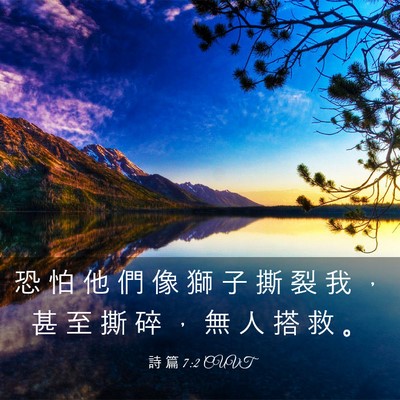 Picture 03 - 詩 篇 7:2 CUVT - 恐 怕 他 們 像 獅 子 撕 裂 我 ， 甚 - Bible Verse Picture