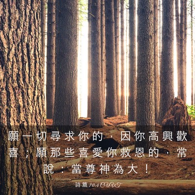 Picture 03 - 詩 篇 70:4 CUVT - 願 一 切 尋 求 你 的 ， 因 你 高 興 - Bible Verse Picture