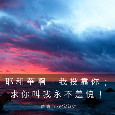 Picture 03 - 詩 篇 71:1 CUVT - 耶 和 華 啊 ， 我 投 靠 你 ； 求 你 - Bible Verse Picture