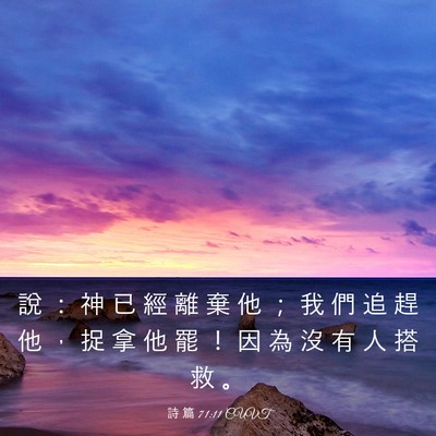 Picture 03 - 詩 篇 71:11 CUVT - 說 ： 神 已 經 離 棄 他 ； 我 們 追 - Bible Verse Picture