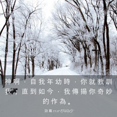 Picture 03 - 詩 篇 71:17 CUVT - 神 啊 ， 自 我 年 幼 時 ， 你 就 教 - Bible Verse Picture