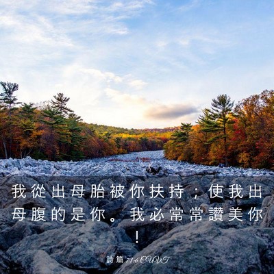 Picture 03 - 詩 篇 71:6 CUVT - 我 從 出 母 胎 被 你 扶 持 ； 使 我 - Bible Verse Picture
