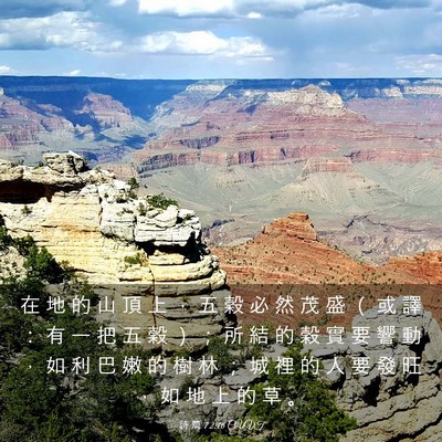 Picture 03 - 詩 篇 72:16 CUVT - 在 地 的 山 頂 上 ， 五 穀 必 然 茂 - Bible Verse Picture