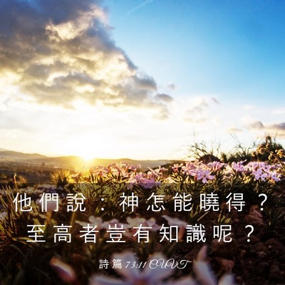 Picture 03 - 詩 篇 73:11 CUVT - 他 們 說 ： 神 怎 能 曉 得 ？ 至 高 - Bible Verse Picture