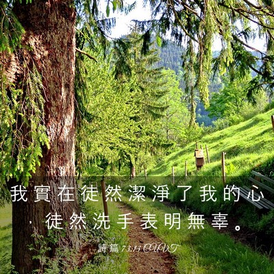 Picture 03 - 詩 篇 73:13 CUVT - 我 實 在 徒 然 潔 淨 了 我 的 心 ， - Bible Verse Picture