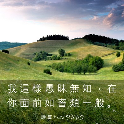 Picture 03 - 詩 篇 73:22 CUVT - 我 這 樣 愚 昧 無 知 ， 在 你 面 前 - Bible Verse Picture