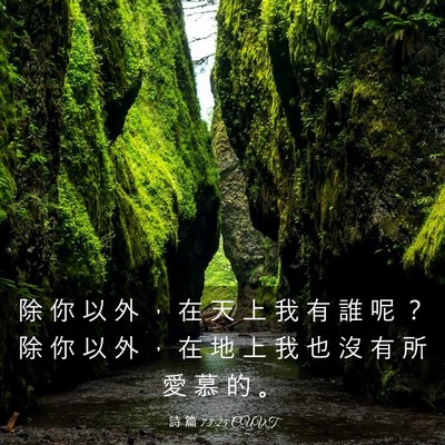Picture 03 - 詩 篇 73:25 CUVT - 除 你 以 外 ， 在 天 上 我 有 誰 呢 - Bible Verse Picture