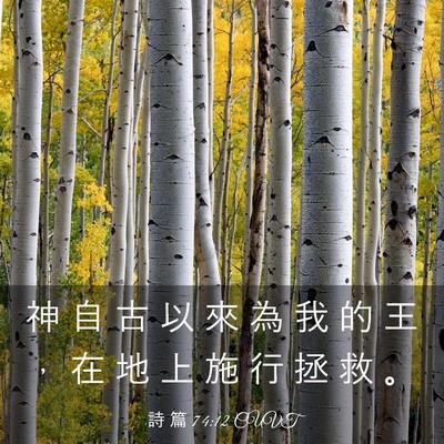 Picture 03 - 詩 篇 74:12 CUVT - 神 自 古 以 來 為 我 的 王 ， 在 地 - Bible Verse Picture