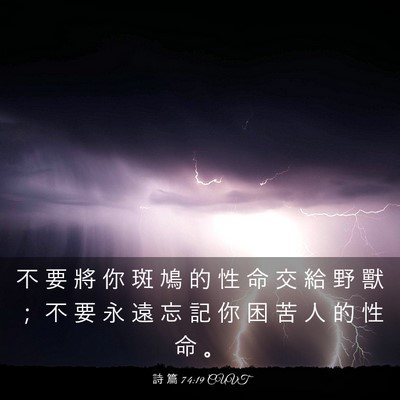 Picture 03 - 詩 篇 74:19 CUVT - 不 要 將 你 斑 鳩 的 性 命 交 給 野 - Bible Verse Picture