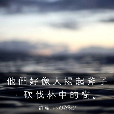 Picture 03 - 詩 篇 74:5 CUVT - 他 們 好 像 人 揚 起 斧 子 ， 砍 伐 - Bible Verse Picture