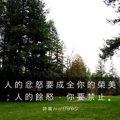 Picture 03 - 詩 篇 76:10 CUVT - 人 的 忿 怒 要 成 全 你 的 榮 美 ； - Bible Verse Picture