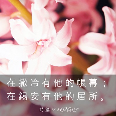 Picture 03 - 詩 篇 76:2 CUVT - 在 撒 冷 有 他 的 帳 幕 ； 在 錫 安 - Bible Verse Picture