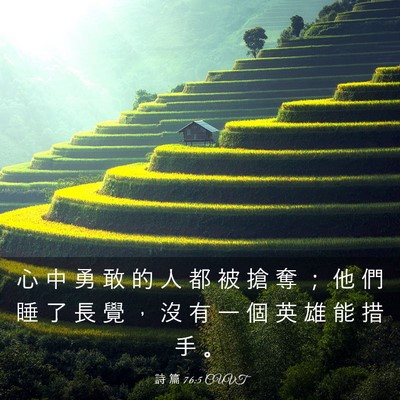 Picture 03 - 詩 篇 76:5 CUVT - 心 中 勇 敢 的 人 都 被 搶 奪 ； 他 - Bible Verse Picture