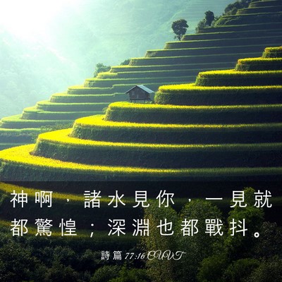 Picture 03 - 詩 篇 77:16 CUVT - 神 啊 ， 諸 水 見 你 ， 一 見 就 都 - Bible Verse Picture