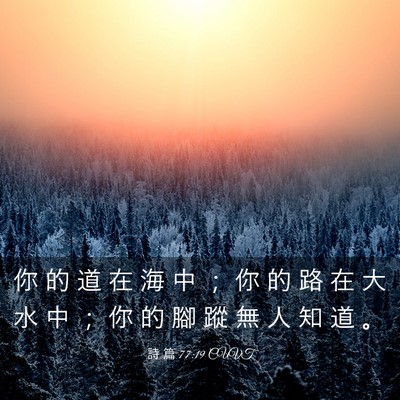 Picture 03 - 詩 篇 77:19 CUVT - 你 的 道 在 海 中 ； 你 的 路 在 大 - Bible Verse Picture