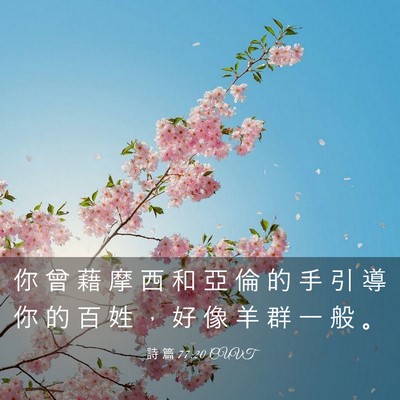 Picture 03 - 詩 篇 77:20 CUVT - 你 曾 藉 摩 西 和 亞 倫 的 手 引 導 - Bible Verse Picture