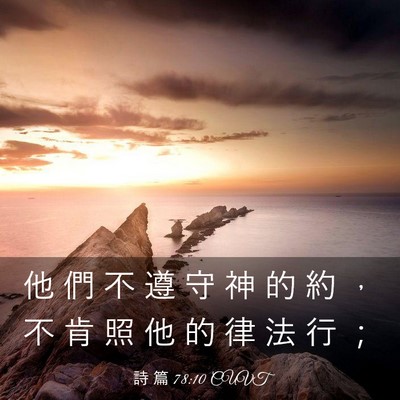 Picture 03 - 詩 篇 78:10 CUVT - 他 們 不 遵 守 神 的 約 ， 不 肯 照 - Bible Verse Picture