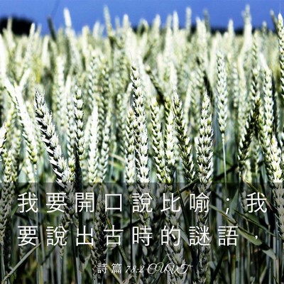 Picture 03 - 詩 篇 78:2 CUVT - 我 要 開 口 說 比 喻 ； 我 要 說 出 - Bible Verse Picture