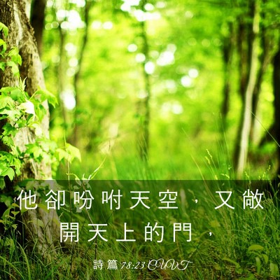 Picture 03 - 詩 篇 78:23 CUVT - 他 卻 吩 咐 天 空 ， 又 敞 開 天 上 - Bible Verse Picture