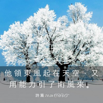 Picture 03 - 詩 篇 78:26 CUVT - 他 領 東 風 起 在 天 空 ， 又 用 能 - Bible Verse Picture