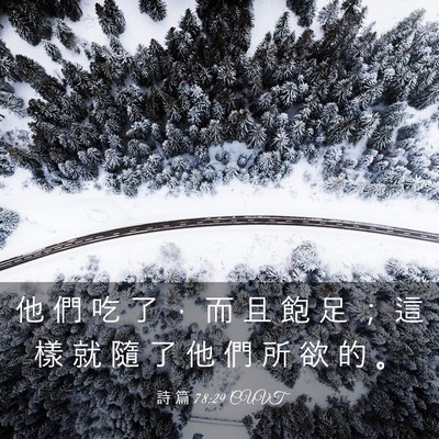 Picture 03 - 詩 篇 78:29 CUVT - 他 們 吃 了 ， 而 且 飽 足 ； 這 樣 - Bible Verse Picture