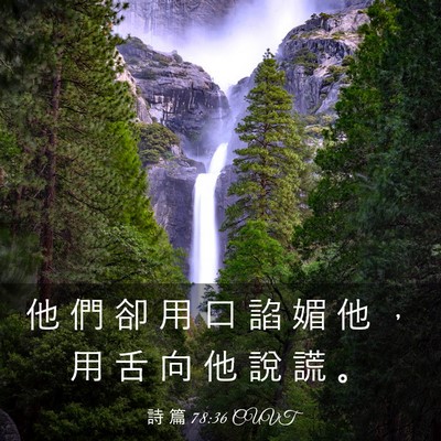 Picture 03 - 詩 篇 78:36 CUVT - 他 們 卻 用 口 諂 媚 他 ， 用 舌 向 - Bible Verse Picture