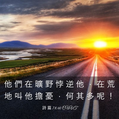 Picture 03 - 詩 篇 78:40 CUVT - 他 們 在 曠 野 悖 逆 他 ， 在 荒 地 - Bible Verse Picture