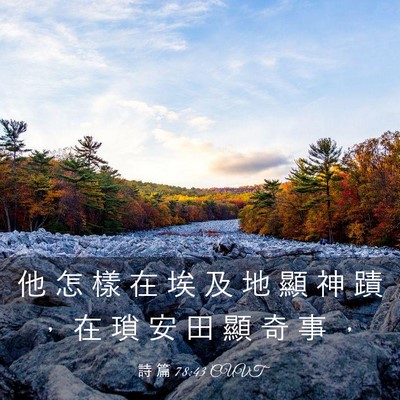 Picture 03 - 詩 篇 78:43 CUVT - 他 怎 樣 在 埃 及 地 顯 神 蹟 ， 在 - Bible Verse Picture