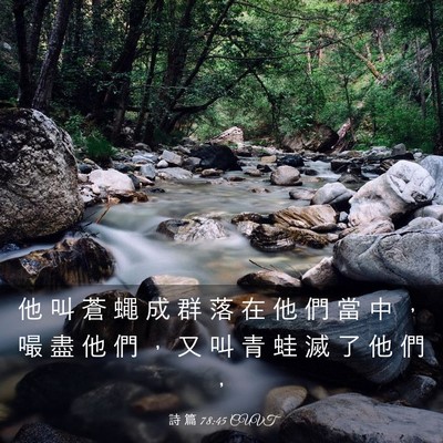 Picture 03 - 詩 篇 78:45 CUVT - 他 叫 蒼 蠅 成 群 落 在 他 們 當 中 - Bible Verse Picture