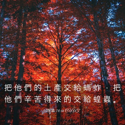 Picture 03 - 詩 篇 78:46 CUVT - 把 他 們 的 土 產 交 給 螞 蚱 ， 把 - Bible Verse Picture
