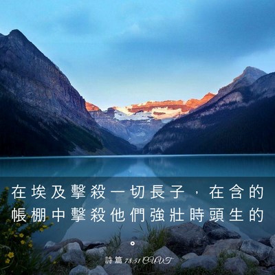 Picture 03 - 詩 篇 78:51 CUVT - 在 埃 及 擊 殺 一 切 長 子 ， 在 含 - Bible Verse Picture