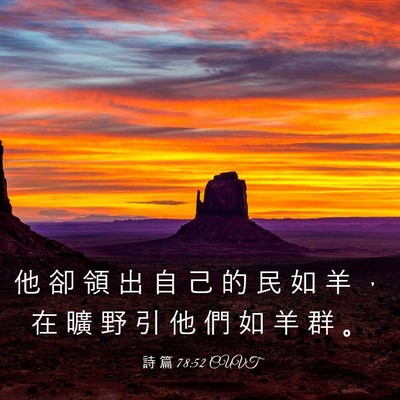 Picture 03 - 詩 篇 78:52 CUVT - 他 卻 領 出 自 己 的 民 如 羊 ， 在 - Bible Verse Picture