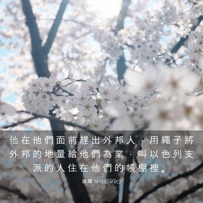 Picture 03 - 詩 篇 78:55 CUVT - 他 在 他 們 面 前 趕 出 外 邦 人 ， - Bible Verse Picture
