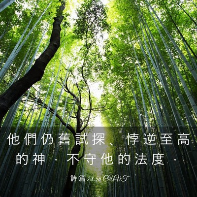 Picture 03 - 詩 篇 78:56 CUVT - 他 們 仍 舊 試 探 、 悖 逆 至 高 的 - Bible Verse Picture