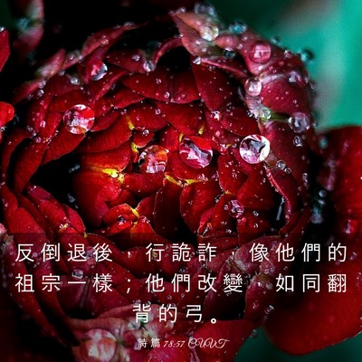 Picture 03 - 詩 篇 78:57 CUVT - 反 倒 退 後 ， 行 詭 詐 ， 像 他 們 - Bible Verse Picture