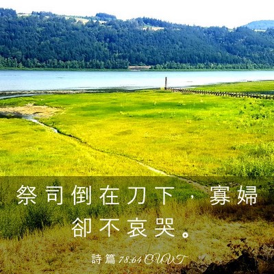 Picture 03 - 詩 篇 78:64 CUVT - 祭 司 倒 在 刀 下 ， 寡 婦 卻 不 哀 - Bible Verse Picture