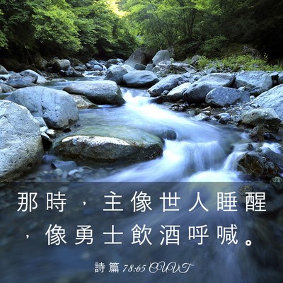 Picture 03 - 詩 篇 78:65 CUVT - 那 時 ， 主 像 世 人 睡 醒 ， 像 勇 - Bible Verse Picture