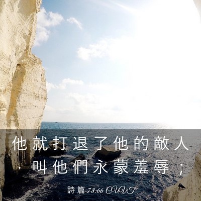 Picture 03 - 詩 篇 78:66 CUVT - 他 就 打 退 了 他 的 敵 人 ， 叫 他 - Bible Verse Picture