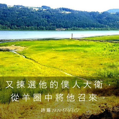 Picture 03 - 詩 篇 78:70 CUVT - 又 揀 選 他 的 僕 人 大 衛 ， 從 羊 - Bible Verse Picture