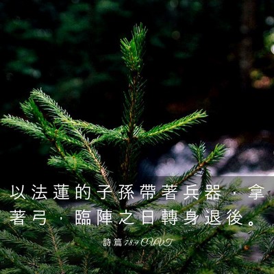 Picture 03 - 詩 篇 78:9 CUVT - 以 法 蓮 的 子 孫 帶 著 兵 器 ， 拿 - Bible Verse Picture