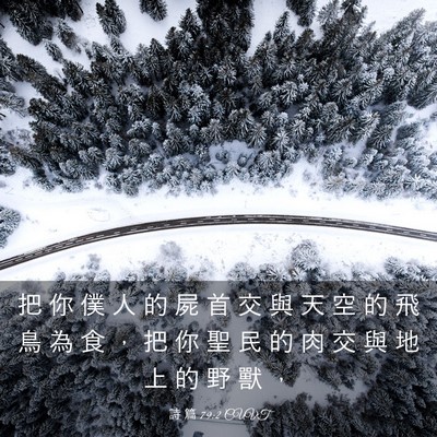 Picture 03 - 詩 篇 79:2 CUVT - 把 你 僕 人 的 屍 首 交 與 天 空 的 - Bible Verse Picture
