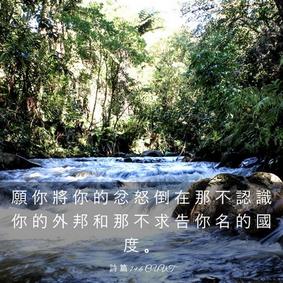 Picture 03 - 詩 篇 79:6 CUVT - 願 你 將 你 的 忿 怒 倒 在 那 不 認 - Bible Verse Picture