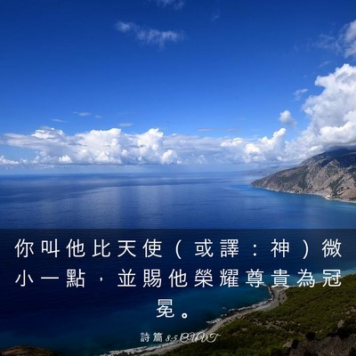 Picture 03 - 詩 篇 8:5 CUVT - 你 叫 他 比 天 使 （ 或 譯 ： 神 ） - Bible Verse Picture