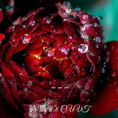 Picture 03 - 詩 篇 8:8 CUVT -  - Bible Verse Picture