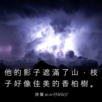 Picture 03 - 詩 篇 80:10 CUVT - 他 的 影 子 遮 滿 了 山 ， 枝 子 好 - Bible Verse Picture