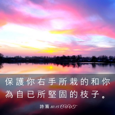 Picture 03 - 詩 篇 80:15 CUVT - 保 護 你 右 手 所 栽 的 和 你 為 自 - Bible Verse Picture