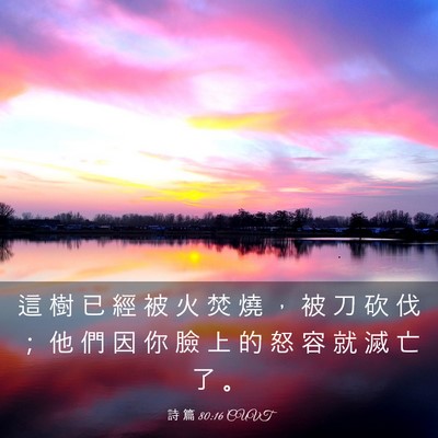 Picture 03 - 詩 篇 80:16 CUVT - 這 樹 已 經 被 火 焚 燒 ， 被 刀 砍 - Bible Verse Picture
