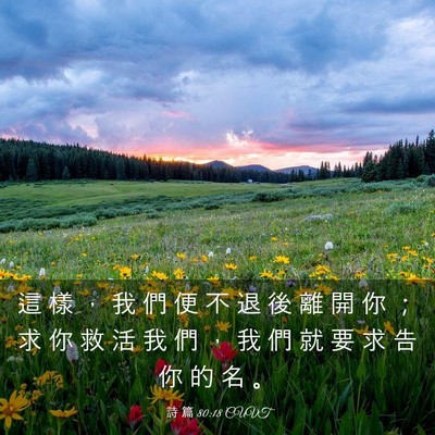 Picture 03 - 詩 篇 80:18 CUVT - 這 樣 ， 我 們 便 不 退 後 離 開 你 - Bible Verse Picture