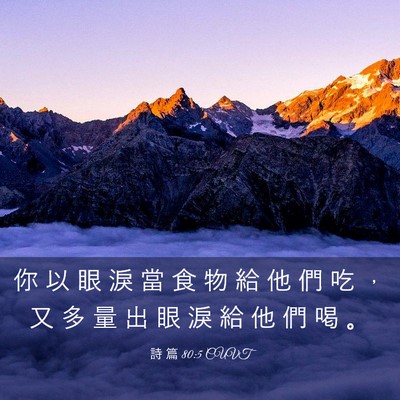 Picture 03 - 詩 篇 80:5 CUVT - 你 以 眼 淚 當 食 物 給 他 們 吃 ， - Bible Verse Picture