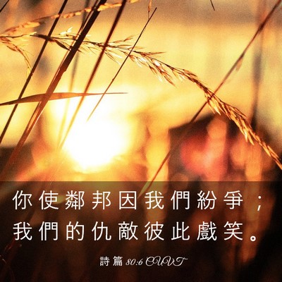 Picture 03 - 詩 篇 80:6 CUVT - 你 使 鄰 邦 因 我 們 紛 爭 ； 我 們 - Bible Verse Picture